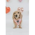 thumbnail image 7 of Dolce Rose Dog Adjustable Harness - Large, 7 of 7