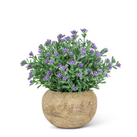 Set of 2 Small Flowering Plant Pot