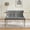 Gray, variant on MAYEERTY Velvet Dining Loveseat Bench - 2-Seat, Tufted, Handmade Buttons, Wing Back, Brushed Silver Legs, Mid-Century Modern, Black, Single Pack