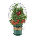 thumbnail image 1 of 8 Packs Insect Bird Barrier Netting Mesh with DrawstringNet Barrier Bag Garden Plant Flower Fruit Protect Bag, Nylon Fruit Bags Reusable for Protect Your Plant Fruits Flower (30"x22"), 1 of 5
