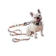 thumbnail image 3 of Correa Grande Para Perro Dash Resistente Pet It Pet It! Dash, 3 of 3