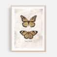 thumbnail image 2 of Butterflies VI - Drawing Butterfly Vintage Nature Botanical Insect Illustration Unframed Wall Art Print 24 x 32 inches, 2 of 16