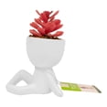 thumbnail image 1 of Planta Artificial Mainstays 16 cm con Maceta Rojo, 1 of 4