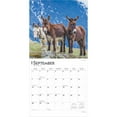thumbnail image 4 of BrownTrout, Donkeys 2025 Wall Calendar, 4 of 9