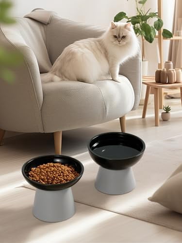 Elevated Cat Food and Water Bowls Set, Extra Wide and Raised Ceramic Feeder, Anti-Vomit Whisker-Free Pressure Feeding Bowl for Kittens Adult Small Dogs (Black, Food Bowl)