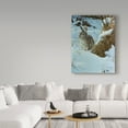 thumbnail image 3 of Trademark Fine Art 'Snow Cover Cottontail' Canvas Art by Wilhelm Goebel, 3 of 3
