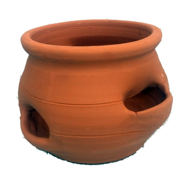 Short Strawberry Pot Herb Jar Terracotta 4 Pocket