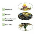 thumbnail image 2 of Greeniant Pelota de ratán de para mascotas, reemplazo bonito, elegante, para el hogar, jardín, Patio, mascotas, juguete para masticar Suministros de alimentación y agua para mascotas 2 piezas, 2 of 6