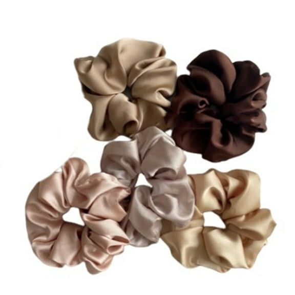 5 Pcs Women's Silk Satin Hair Ties,Solid Color Large Intestine Hair Bands,Stylish Silk Scrunchies,Mulberry Silk for Hair,Elegant Bands Ties for Girls Hair Styling (Multi-Color)