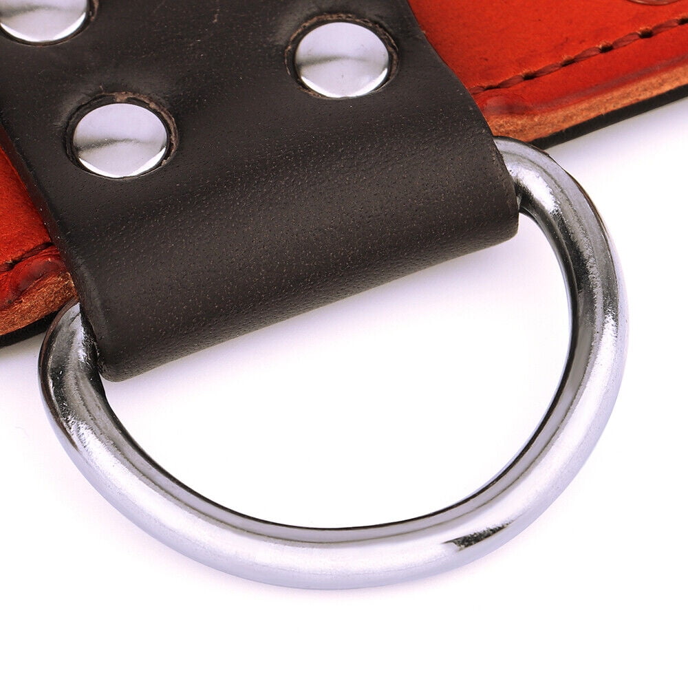 Didog 2" Wide Genuine Leather Studded Dog Collar for Medium Large Dogs, Heavy Duty Unique Rivet Pet Collars