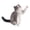 Gray, variant on Rushawy Realistic Cat Animal Figure Model Cake Toppers Decoration for Girls Children Gray
