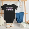 thumbnail image 3 of Sis Announcement Little Sister Bodysuit Jumper Girls Infant Baby Brisco Brands 12M, 3 of 6