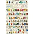 thumbnail image 1 of Picture Peddler Introduction to Minerals Geology Laminated Educational Science Classroom Chart Print Poster 24x36, 1 of 4