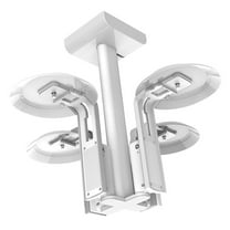 FLEXSON Ceiling Mount for Two Sonos ERA 100 (Black, Pair)