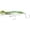 Fusilier, variant on Nomad Chug Norris Popper 150- 6"- Fusilier