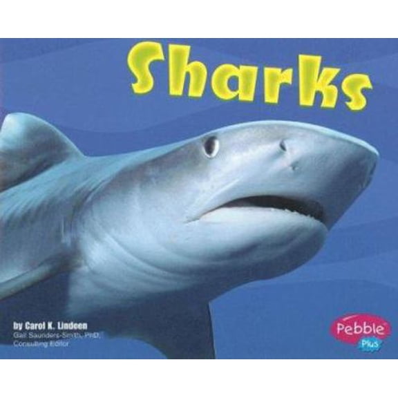 Pre-Owned Sharks (Pebble Plus: Under the Sea) (Paperback) 0736851143 9780736851145