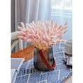 thumbnail image 5 of Natural Dried Bunny Tail Grass Real Flower Eternal Flower Lagurus Ovatus Dry Grass Dried Flowers Pampas Grass Bouquet Rabbit Tail Grass Stems forHome Decor and Fall Theme Decorati(7"/White), 5 of 5