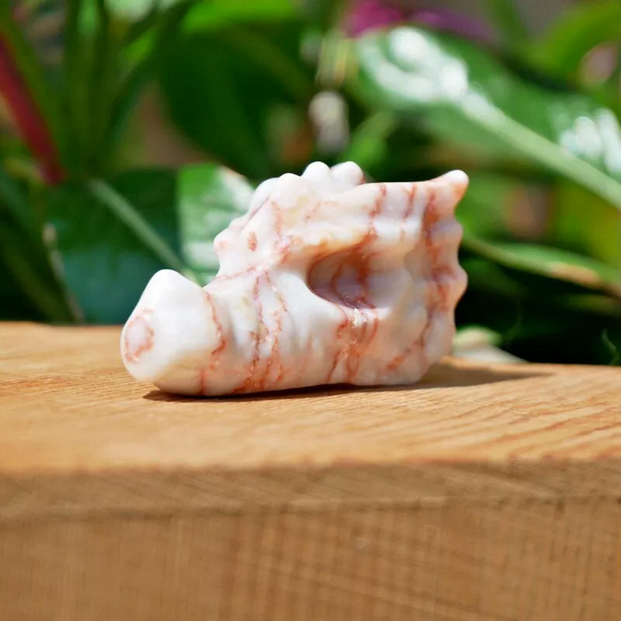 EOEMY 5Pcs Natural Red Picasso Jasper Quartz Crystal Dragon Head Skeleton Carved Decor