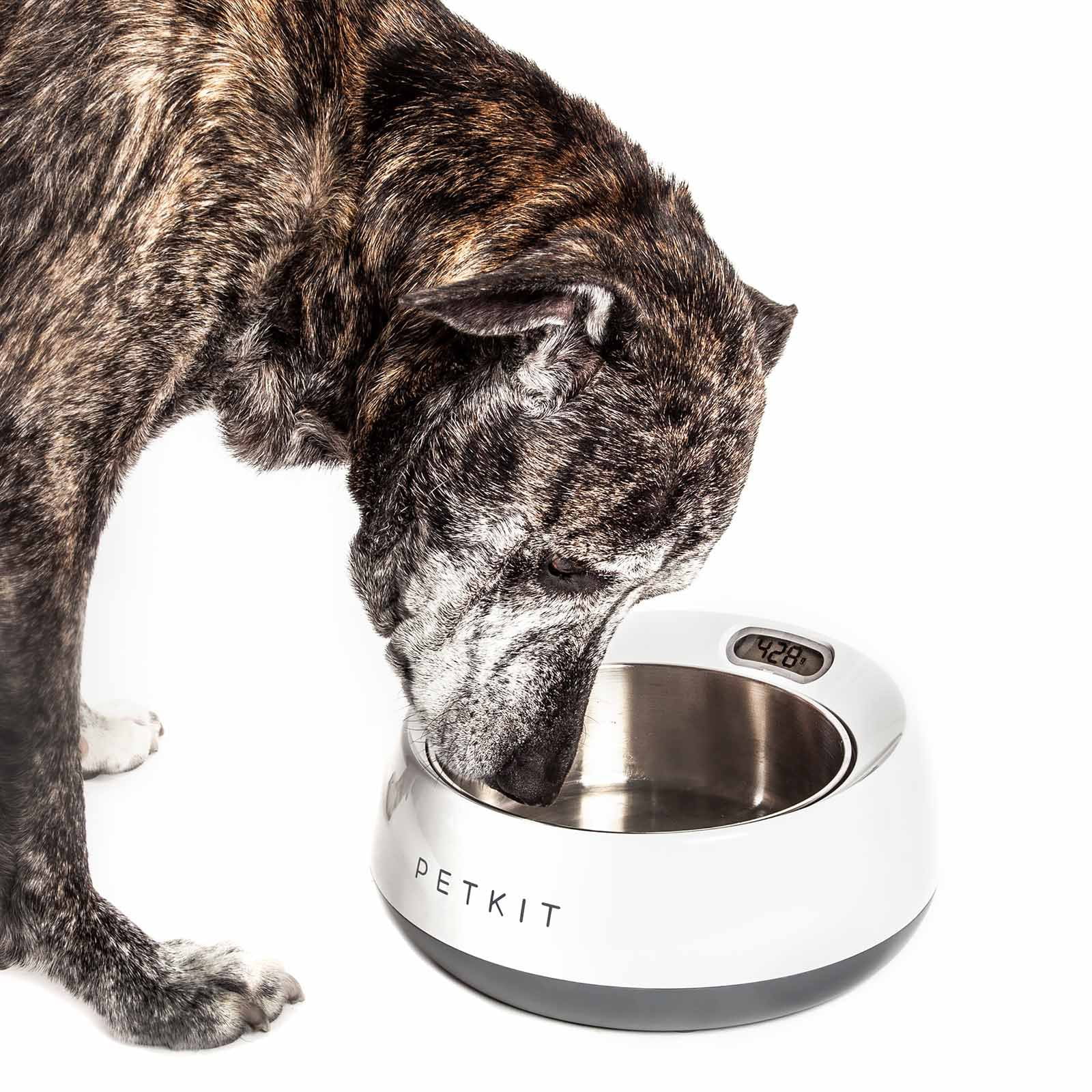 fresh metal smart pet bowl