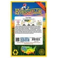 thumbnail image 2 of Everwilde Farms - 500 Five Spot Native Wildflower Seeds - Gold Vault Jumbo Bulk Seed Packet, 2 of 5