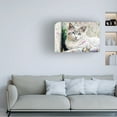 thumbnail image 2 of Canvas Wall Art - FootePrint Art 'Easter Kitty 3' Wall Art for Living Room, Bedroom, or Office Décor by Trademark Fine Art - 32 x 22 Inches, 2 of 4