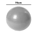 thumbnail image 2 of Pelota de ejercicio Ficarrico, pelota de equilibrio y estabilidad de grado profesional extragruesa, incluye bomba de mano, 2 of 5
