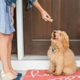 thumbnail image 4 of Nordic Ware Puppy Love Treat Pan Blue, 4 of 8