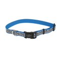 thumbnail image 1 of Collar para perro Coastal Lazer Brite reflectante turquesa 1.6x30-46 cm, 1 of 1
