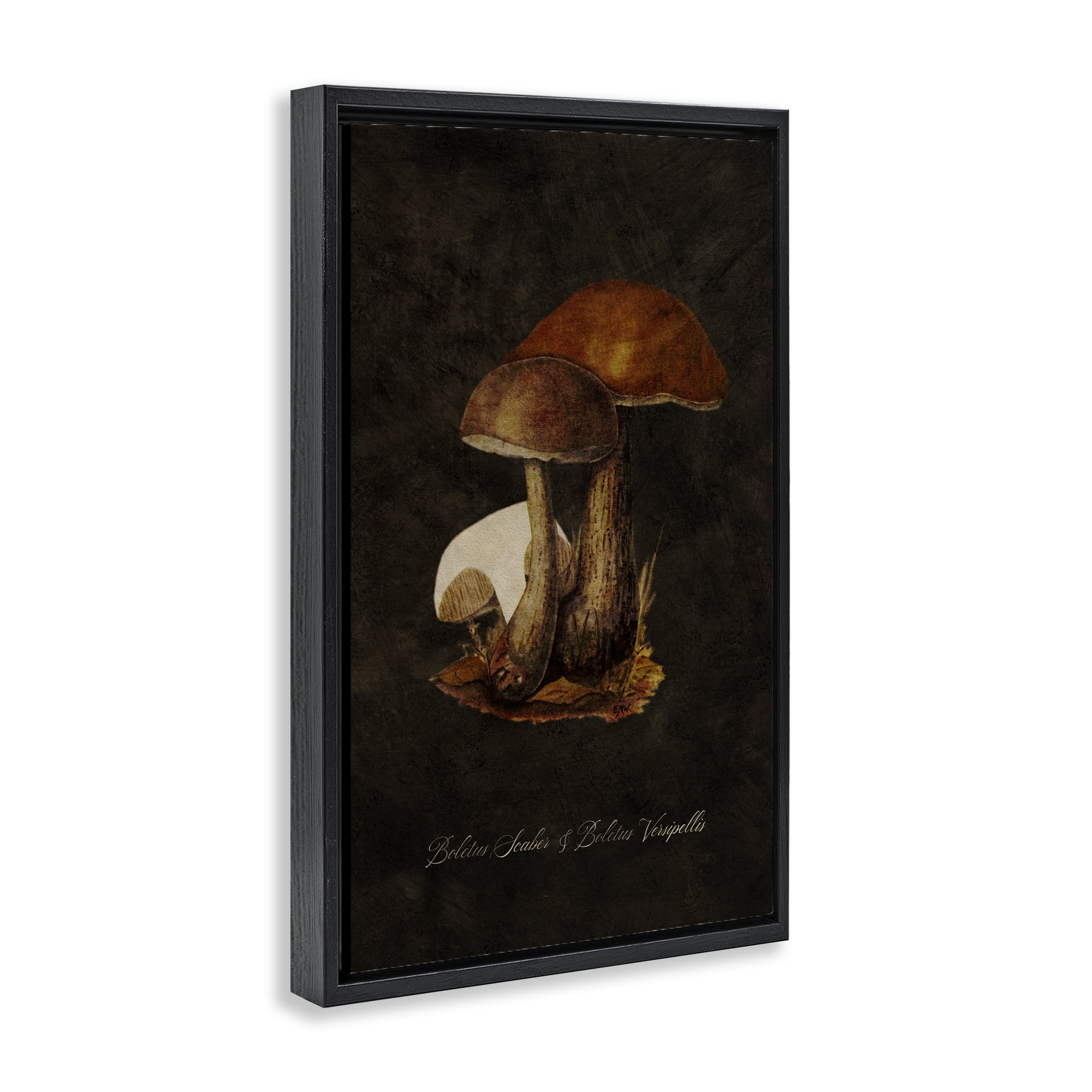 Stupell Industries Mushroom Types Study Plants & Flowers Painting Black Floater Framed Canvas Art Print Wall Art, 21 x 31