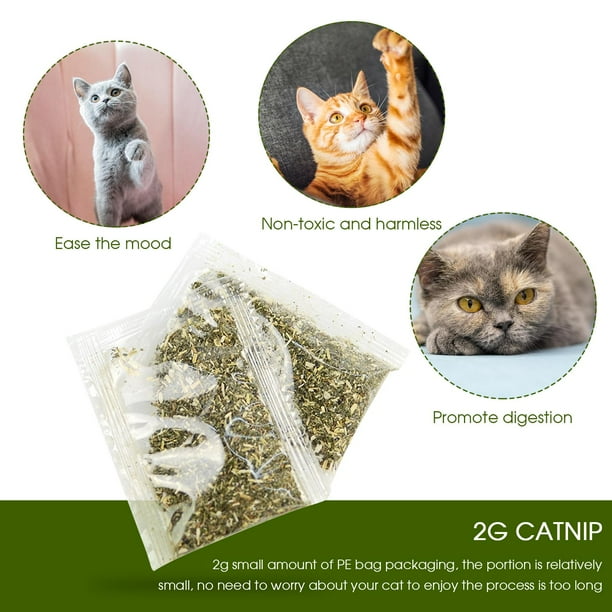 Bolsa de hierba gatera de 2g para gatos, paquete de bolsa de PE, hierba de hierba gatera de repuesto para juguetes de hierba gatera