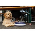 thumbnail image 2 of Dispensador de agua portátil filtrada para perros Torus Pet 1L, 2 of 9