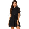 thumbnail image 1 of Vestido A Capas de Gasa Allegra K con Cordón Floral Cuello Peter Pan Negro XL, 1 of 6