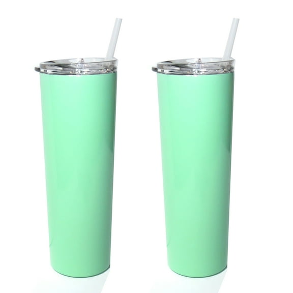 Mint Stellar 20 oz. Skinny Steel (2 Pack) Double Wall Stainless Tumbler