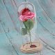 thumbnail image 3 of Luz de cristal decorativa Baoblaze blanca cálida para exhibición Oficina en casa decorativa, 3 of 8