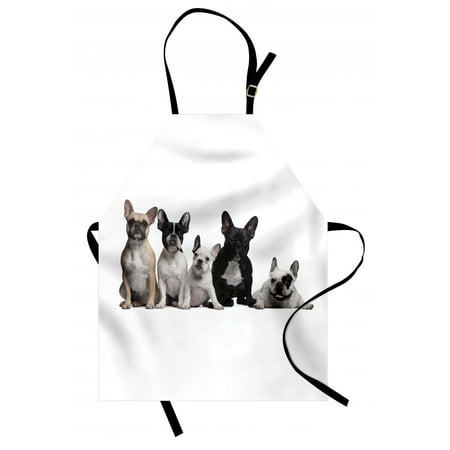 Jetboil Group Cooking System - Bulldog Apron Group of Young French Bulldogs with Adorable Expressions Animal Lover Photo, Unisex Kitchen Bib Apron with Adjustable Neck for Cooking Baking Gardening, Black White Beige, by Ambesonne