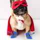 thumbnail image 5 of 4 botas para mascotas, impermeables, para exteriores, antideslizantes, protectores de pies, 5 of 7