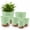 Green, variant on FOUKUS Set of 6 Self-Watering Plant Pots with Drainage – Eco-Friendly Plastic Planters for Indoor & Outdoor Use – Pots for Succulents, Cactus, Snake Plants (8", 7", 6.5", 6", 5.5", 5") – Black