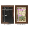 thumbnail image 4 of Cabinet of Conchology -Framed Print w/glass-Chestnut, 4 of 8