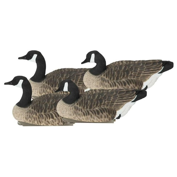 Avery/GHG Pro Grade XD Series Canada Floaters, Decoy Active 4 Pack