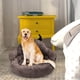 thumbnail image 4 of Cama para Perros Xihbxyly Cómoda Perrera para Perros Arena para Mascotas Pv para Mascotas, 4 of 6