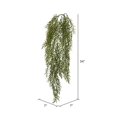 thumbnail image 2 of Vickerman Vickerman 34" Artificial Green Dill Leaf Vine X 81, 2 of 2