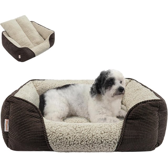 Washable Dog Bed with Removable Cushion for Medium Small Dogs Easy to Wash Pet Sofa Bed with Side Rectangle Bolster Cat Bed Calming Cuddle Puppy Bed Slip Bottom CM