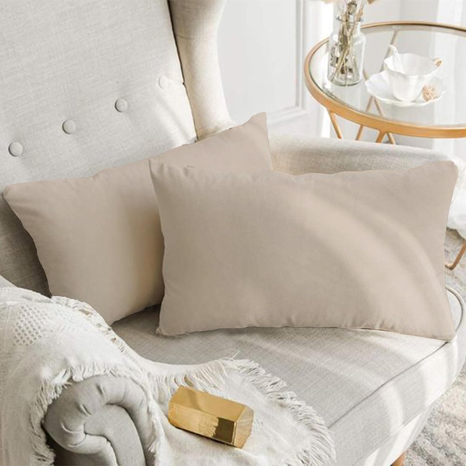A1HC Set of 2 Luxurious Soft Velvet Throw Pillow Covers Only, 12"x20", Beige, Decorative Cushion Covers with Hidden YKK Zipper for Sofa or Bed