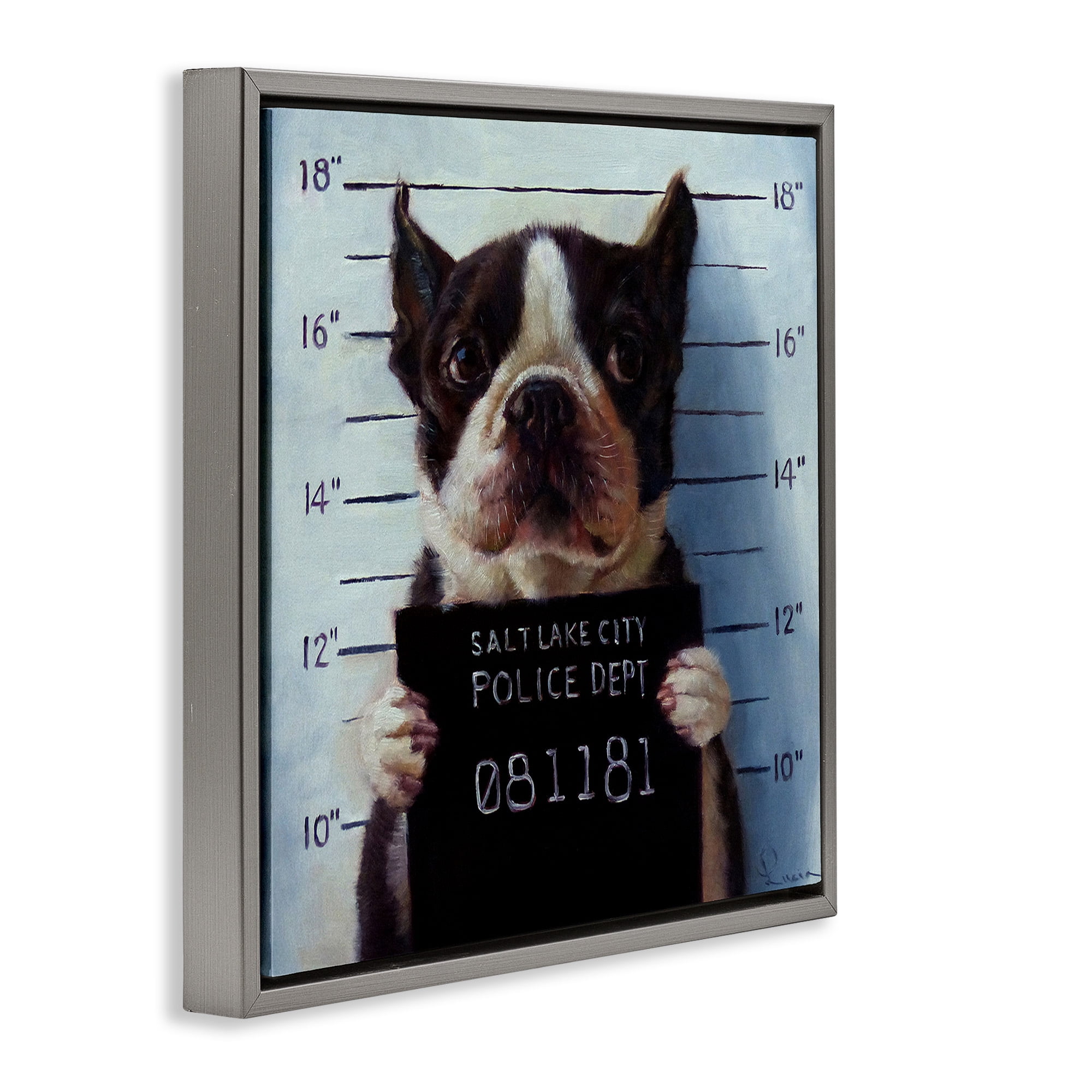 Stupell Industries Boston Terrier Jail Convicted Mugshot Animals & Insects Painting Gray Floater Framed Canvas Art Print Wall Art, 18 x 18