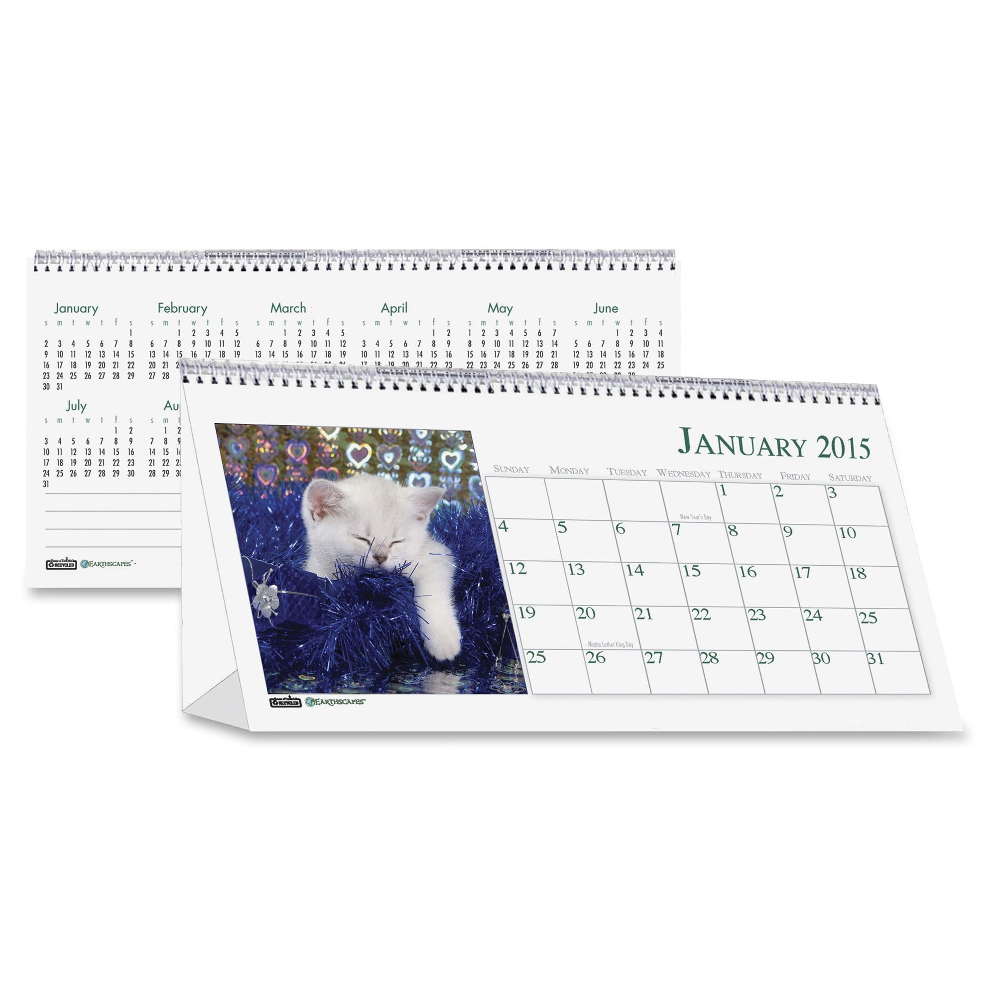 Kittens Desktop Tent Calendar