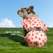 Oodles Summer Strawberries Dog Bikini, Pink, Small