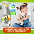 CLR Mold & Mildew Foaming Stain Remover Spray, BleachFree Cleaner, 32