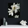 thumbnail image 5 of Nawypu Canvas Wall Art Floral Bloom Blossom Close Up Pictures Modern Wall Decoration Black and White lilies Flowers Posters Pictures for Bedroom Wall Decor Framed Canvas Wall Art for Living Room, 5 of 5