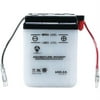 Yuasa Conventional 6N4-2A Automotive Battery