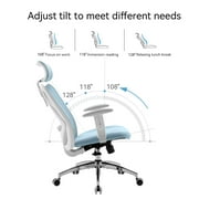 SIHOO M18 Ergonomic Office Chair, High Back Computer Chair, Adjustable Computer Desk Chair with Lumbar Support, 300lb,Blue